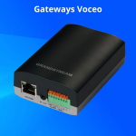 Gateways Voceo