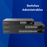 Switches Administrables